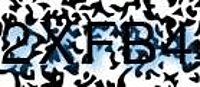grafischer Sicherheitscode